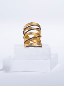 Gold & Silver Coil ring
