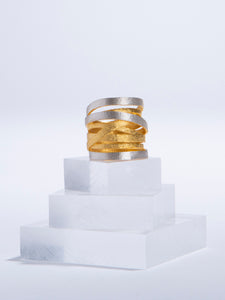 Gold & Silver Coil ring